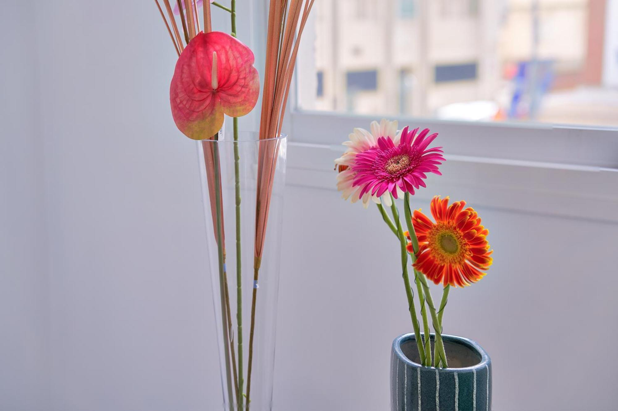 Appartement Urban Exclusive Experience In *